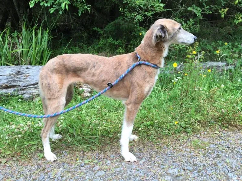 11720503 924577060936653 1567714109 n