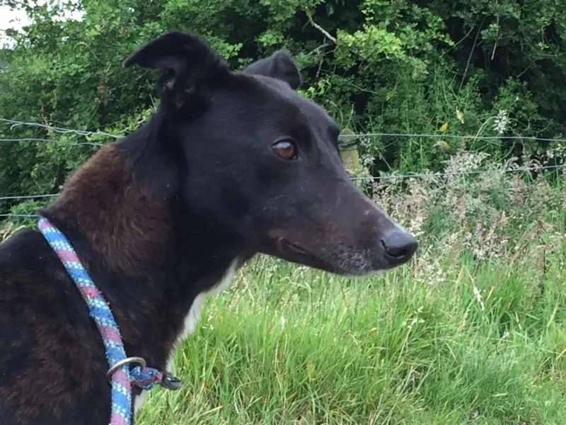 11720584 924579634269729 832990117 n