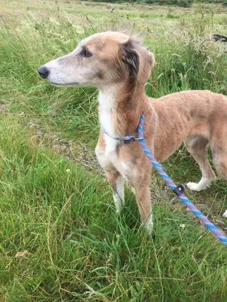 11720658 924576924270000 220621889 n