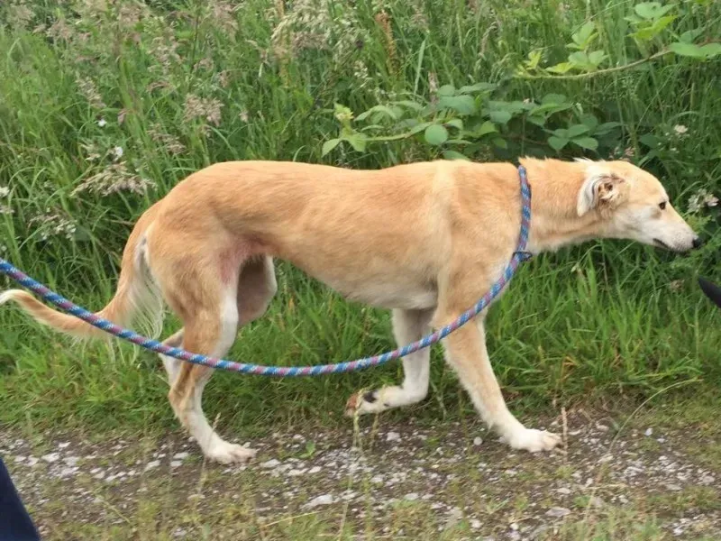 11720737 924575384270154 477279009 n