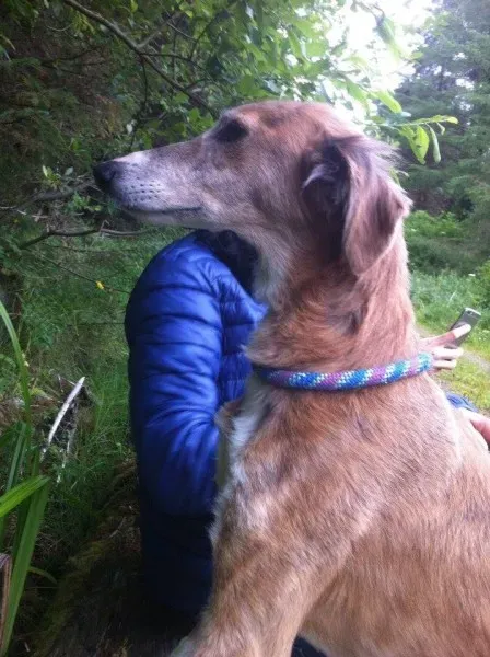 11721196 1647022058845825 1487762074 n