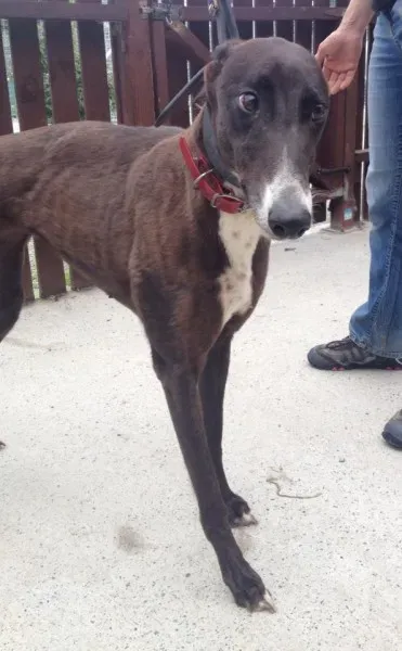 11721308 10152826200875194 905217728 n