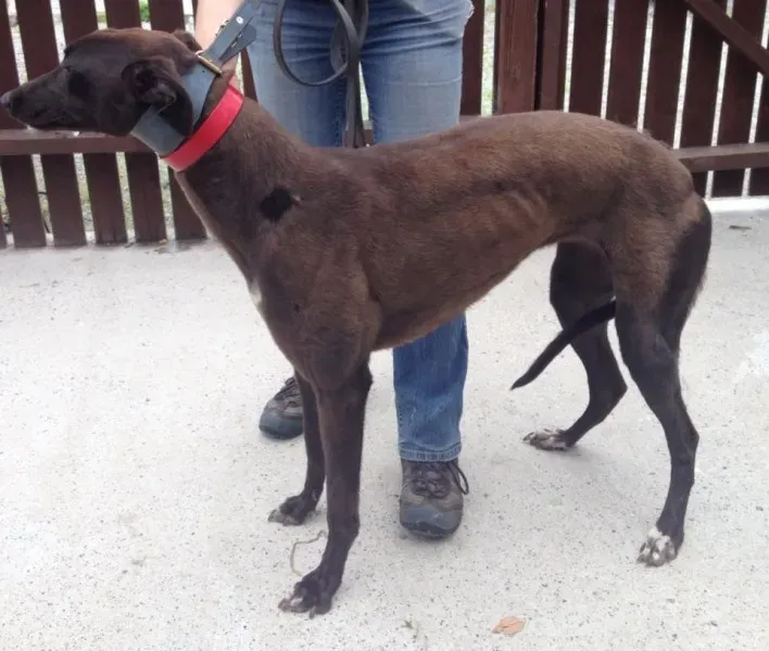 11721411 10152826204045194 794665787 n