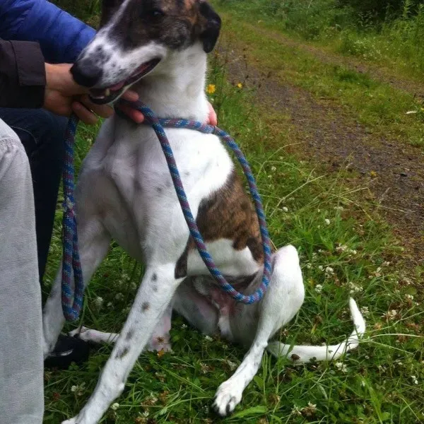 11721814 1647023585512339 1951147966 n