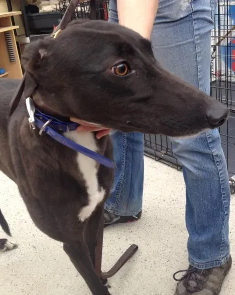 11721872 10152826207465194 1706578799 n