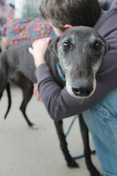 11725153 10152812684390194 1495804849 o