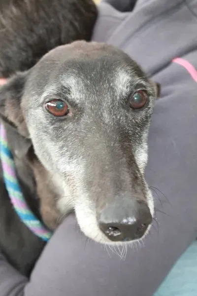 11728282 10152812687295194 1829805188 o