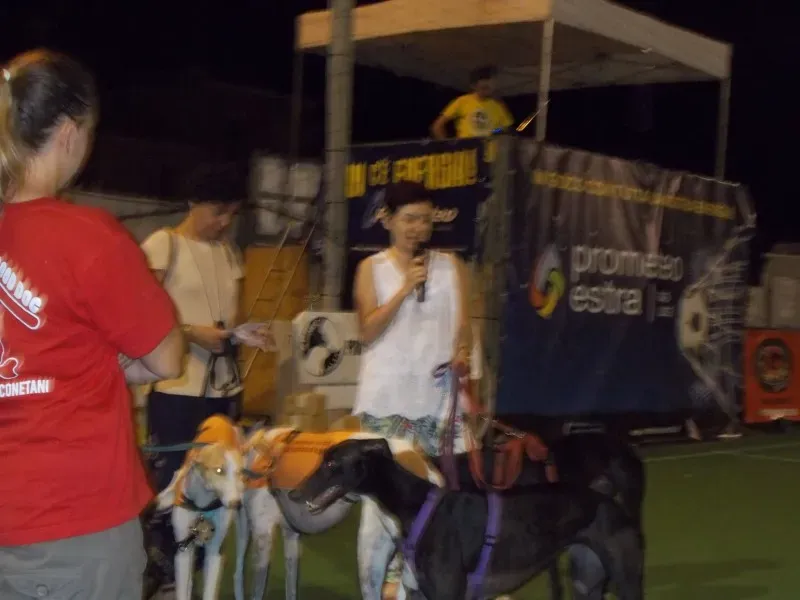 11731733 10203317929109221 5701567003731782239 o