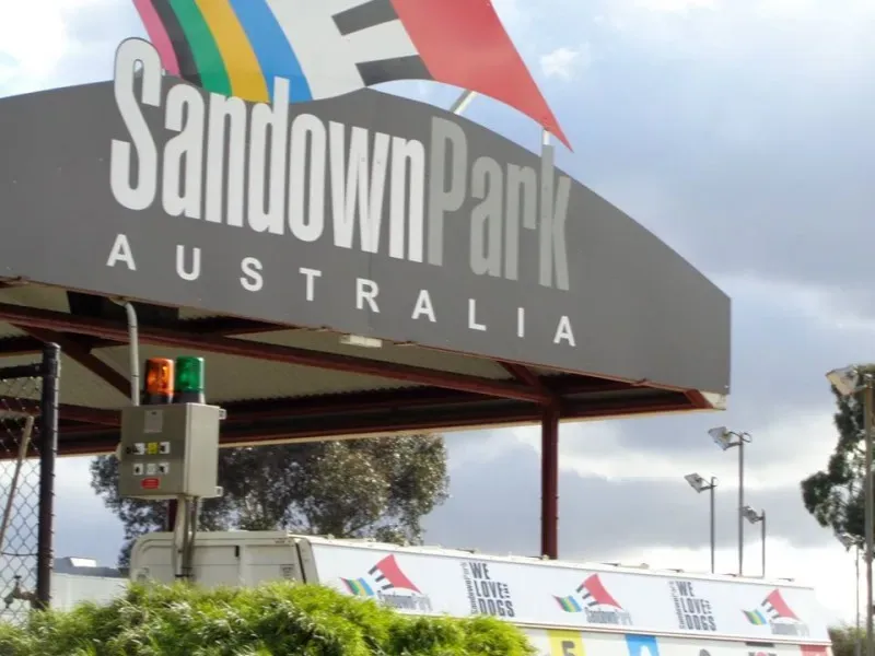 11731864 10153014513998354 1567746323463056046 o