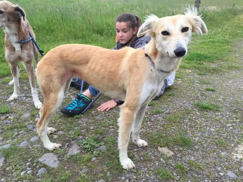 11733230 924575487603477 587101256 n