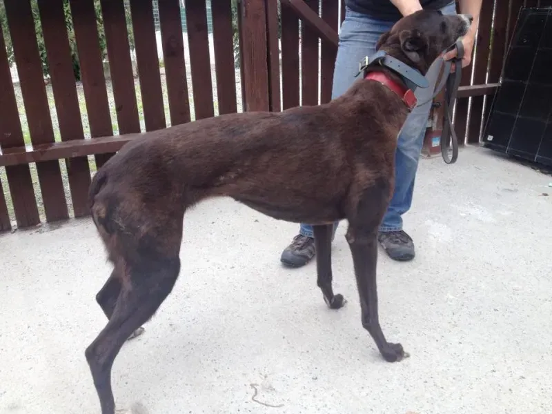 11733241 10152826200980194 831983759 n