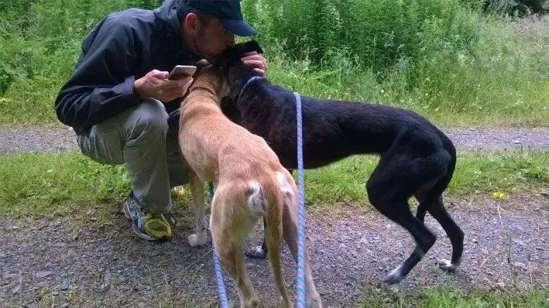 11733244 1647023302179034 961467511 n