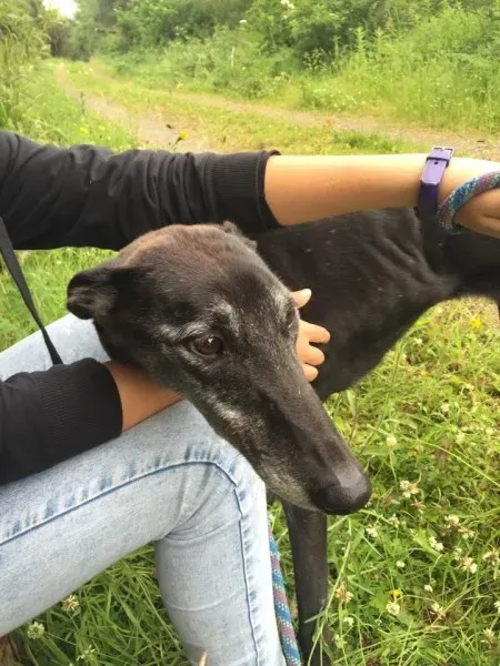 11733307 924005680993791 1695940003 n