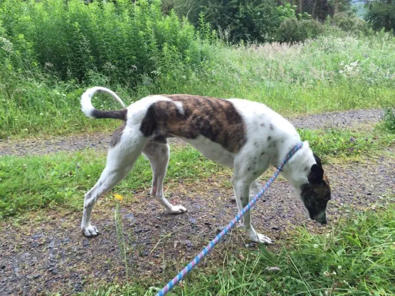 11733372 924581087602917 457107977 n