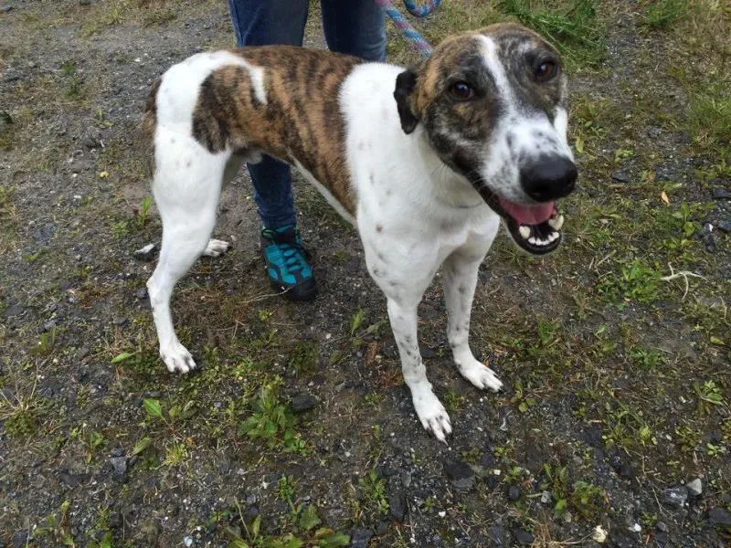 11733375 924581057602920 67263092 n