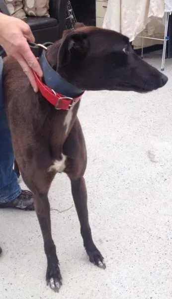 11733424 10152826204015194 1134845800 n