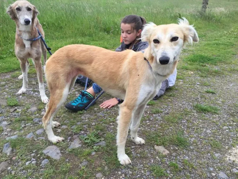 11733432 924575427603483 2067615892 n