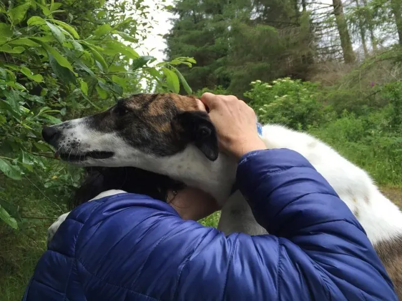 11733445 924581197602906 1960922729 n