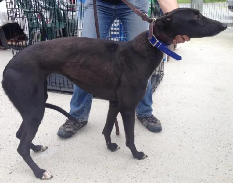 11733481 10152826207395194 870897660 n