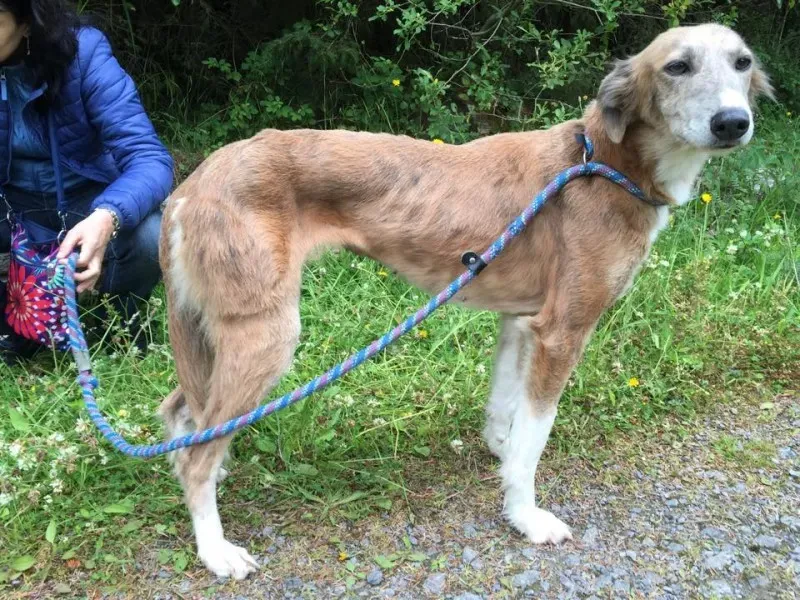 11733490 924577040936655 1442104014 n