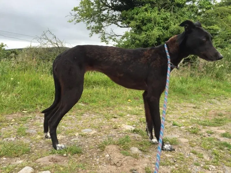 11733513 924579600936399 178481691 n