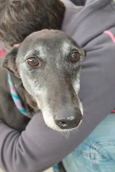 11734024 10152812686285194 246906013 o