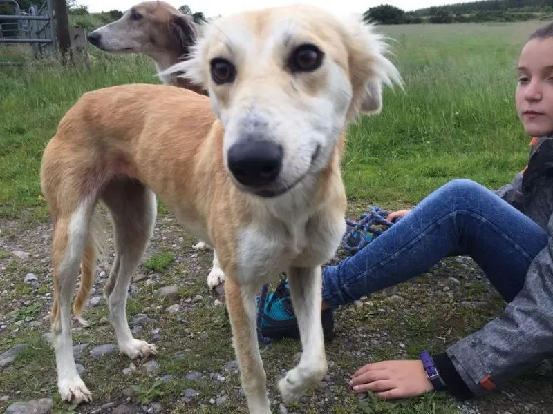 11736960 924575397603486 610394656 n