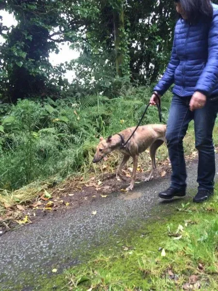 11736986 1647462848801746 1423591355 n