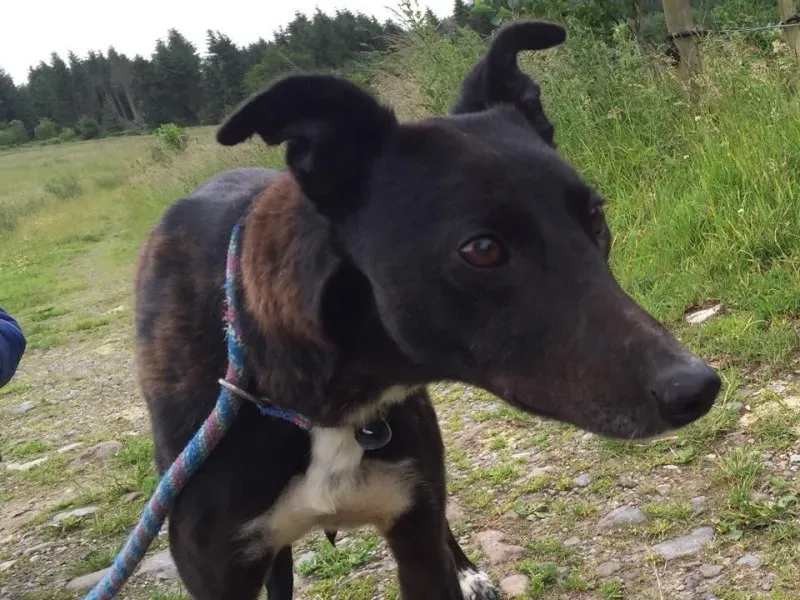 11737053 924579657603060 1021895379 n