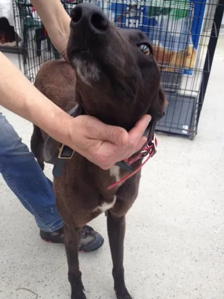 11737113 10152826204255194 2073331372 n