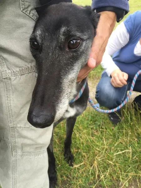 11737142 924005647660461 1257092506 n