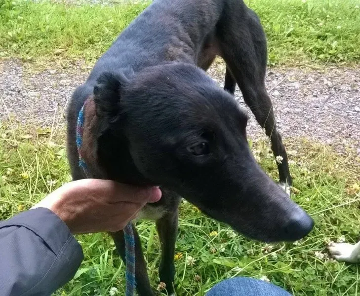 11737143 1647023335512364 1302323615 n