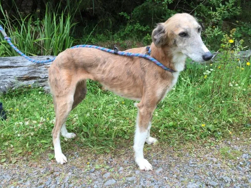 11737186 924577077603318 1613699847 n