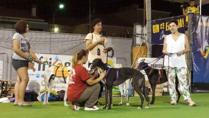 11738052 10205671019867721 6570860476348745375 n