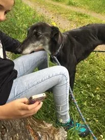 11739490 924005667660459 519000795 n