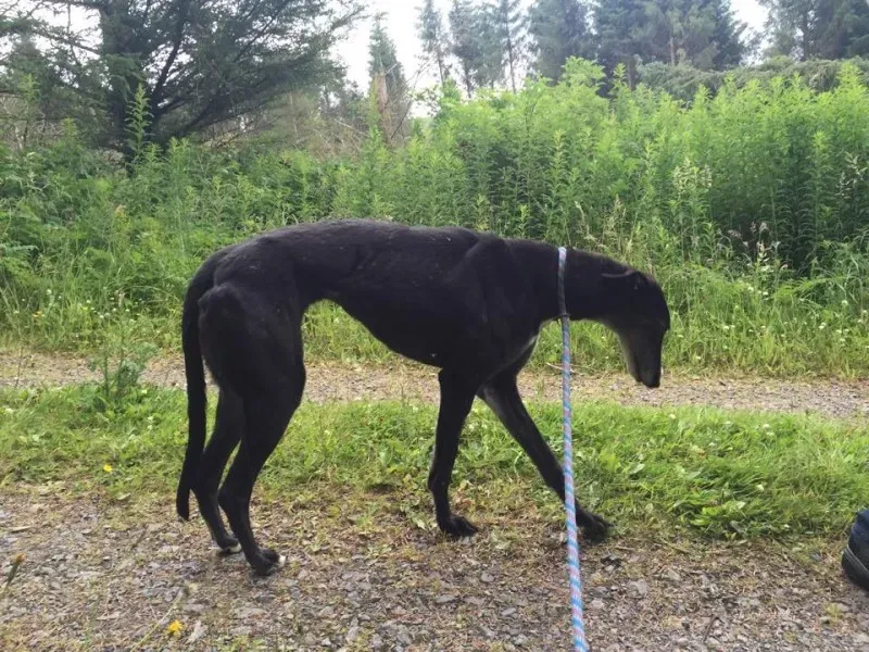 11739494 924005720993787 1242912933 n