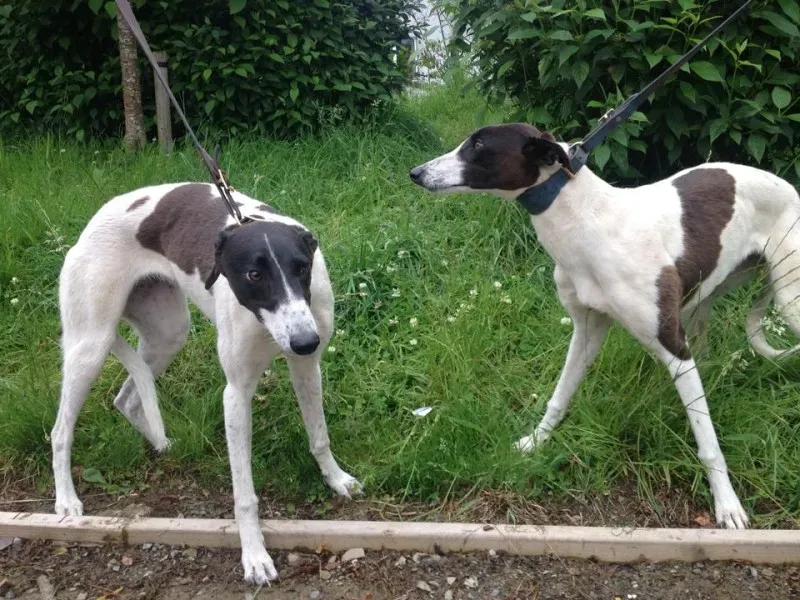 11739562 10152826212145194 292636995 n