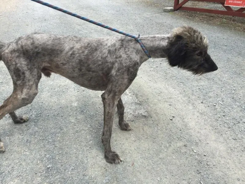 11739650 924008024326890 434605051 n