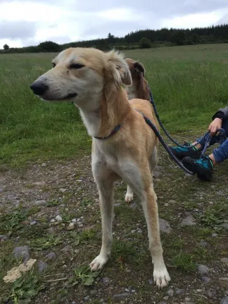 11739710 924575650936794 656770260 n