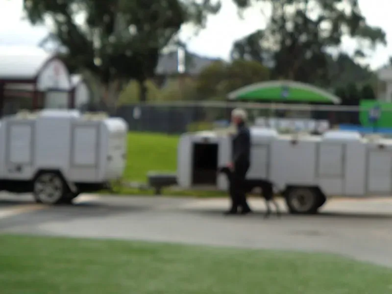 11741099 10153014519483354 1273282950487092299 o