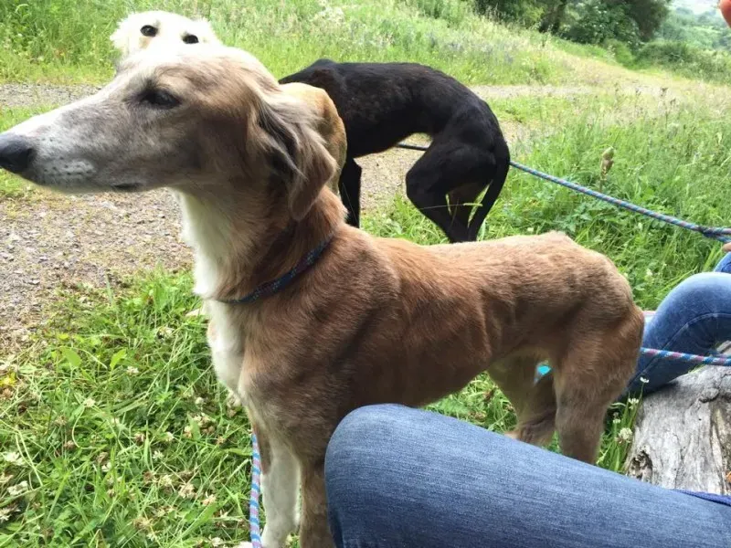 11741731 924576987603327 1933360849 n