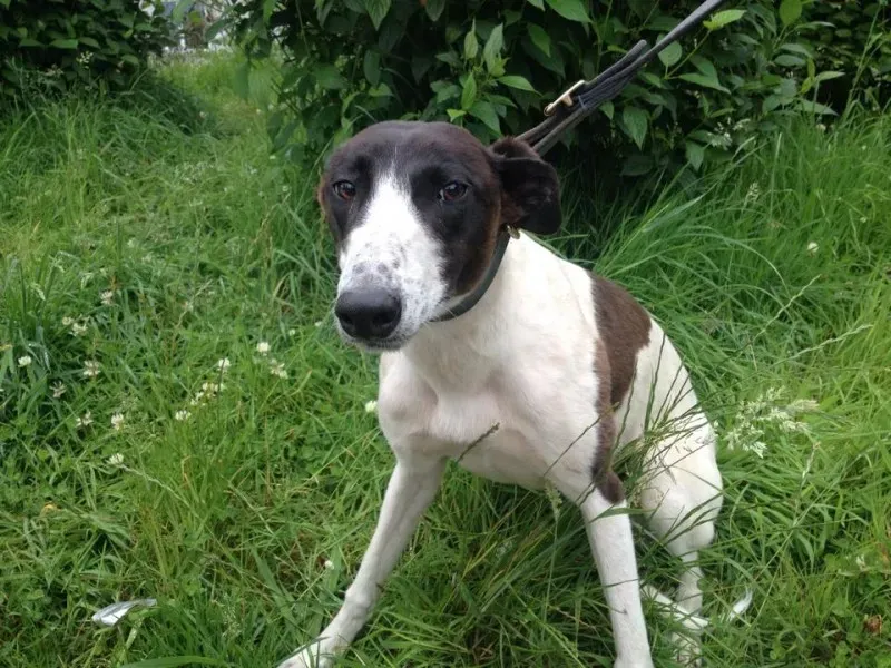 11741733 10152826212440194 42949105 n