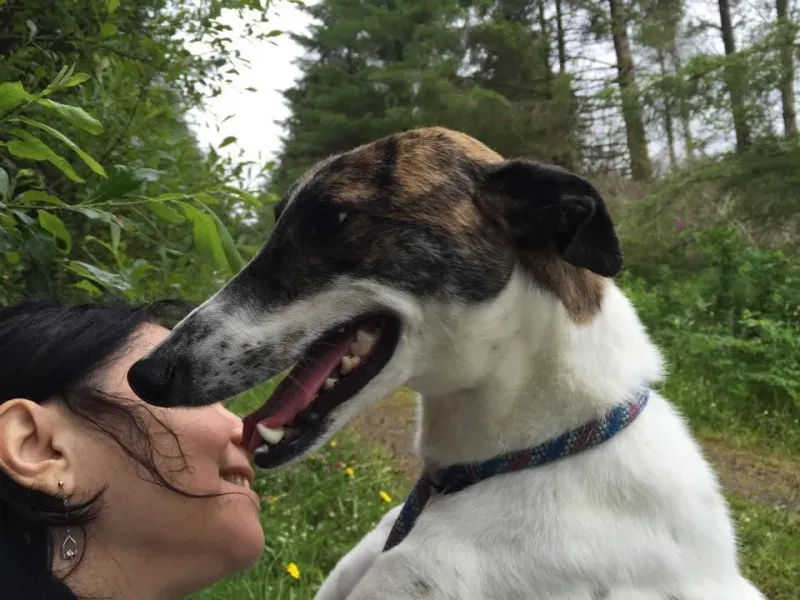 11741733 924581207602905 95424124 n