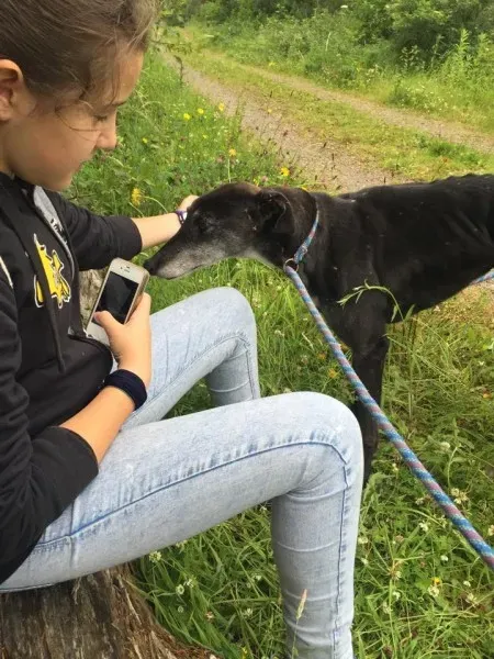 11741779 924005664327126 1667894383 n