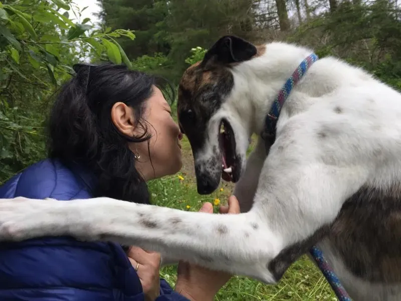 11741861 924581134269579 680601963 n