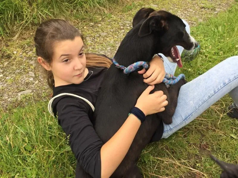 11741865 924007310993628 1819785909 n