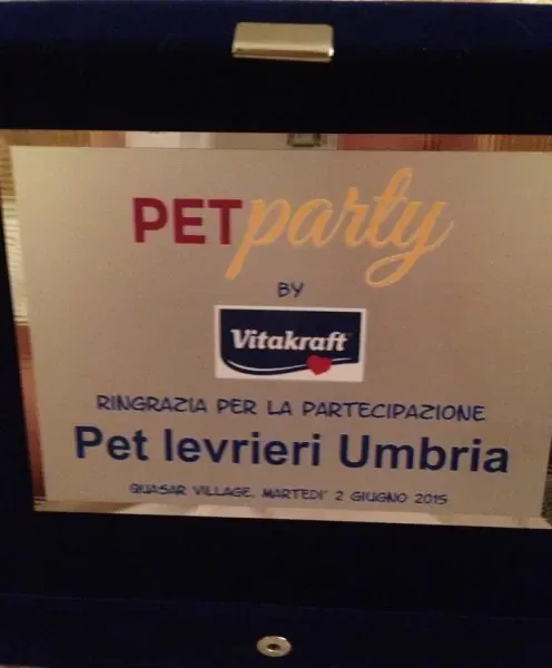 1174244 10205163423657599 1229324167 n