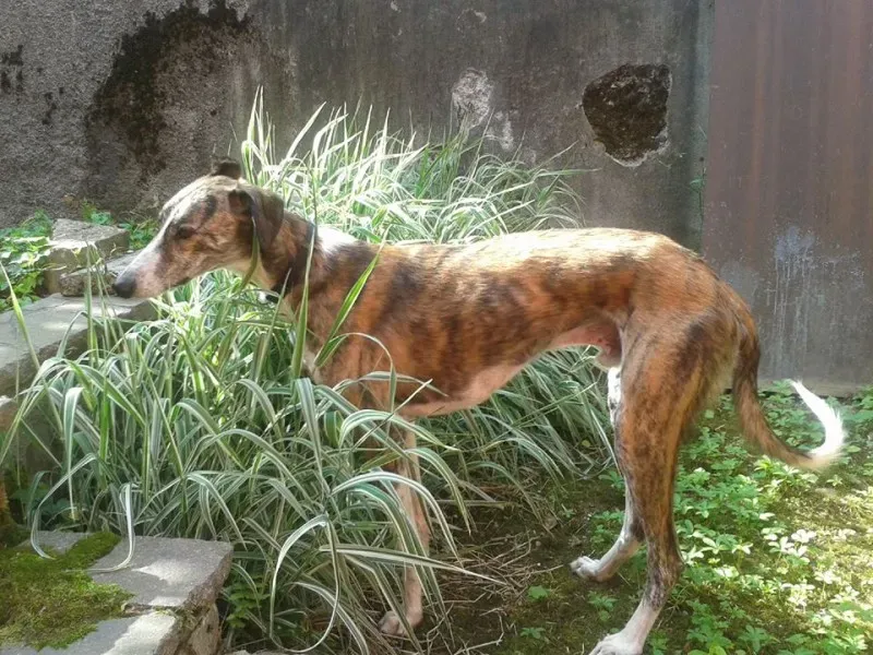 11742683 10204760153220013 338941968442820895 n