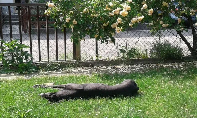 11742758 858587357558454 8214494610559112218 n