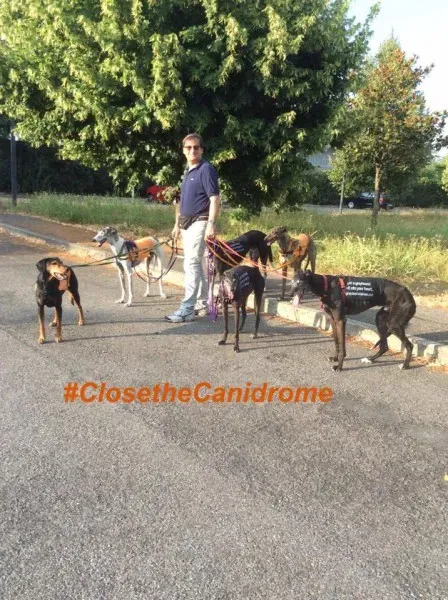 11742803 877990645625873 557800887463688422 n